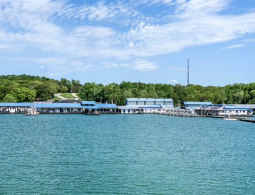 We are open for business!